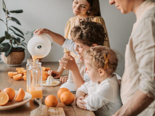 Comparatif extracteurs slow-press pour usage domestique