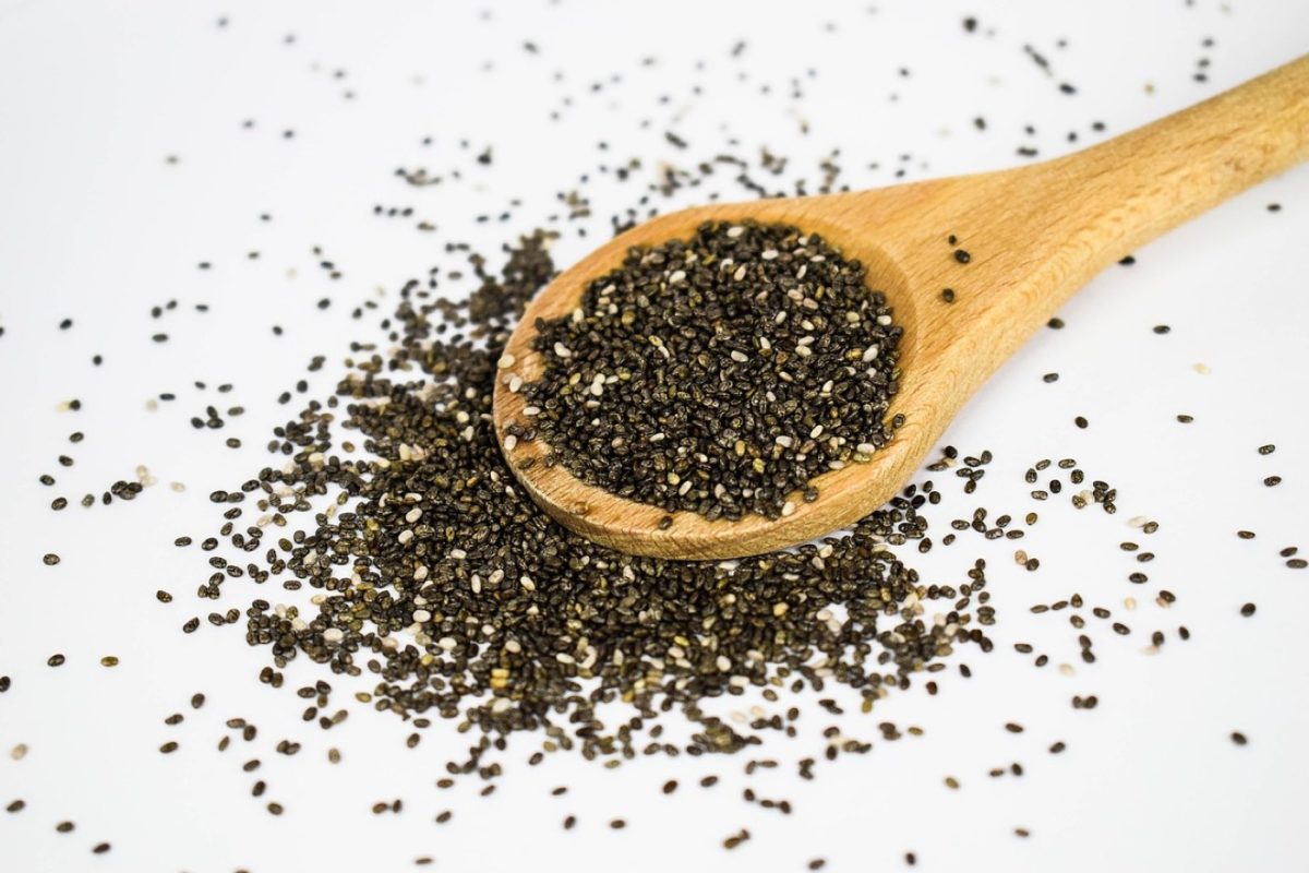 Omega ou Hurom : quel extracteur choisir ?